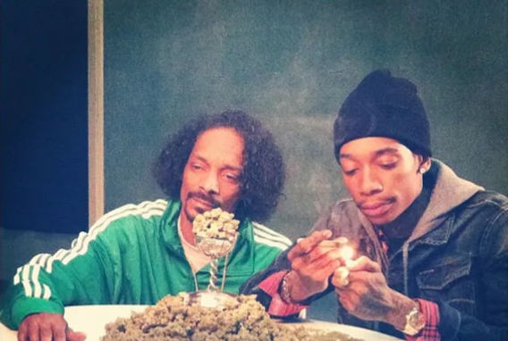 The Rise of Cannabis Culture in Modern Music and Lifestyle