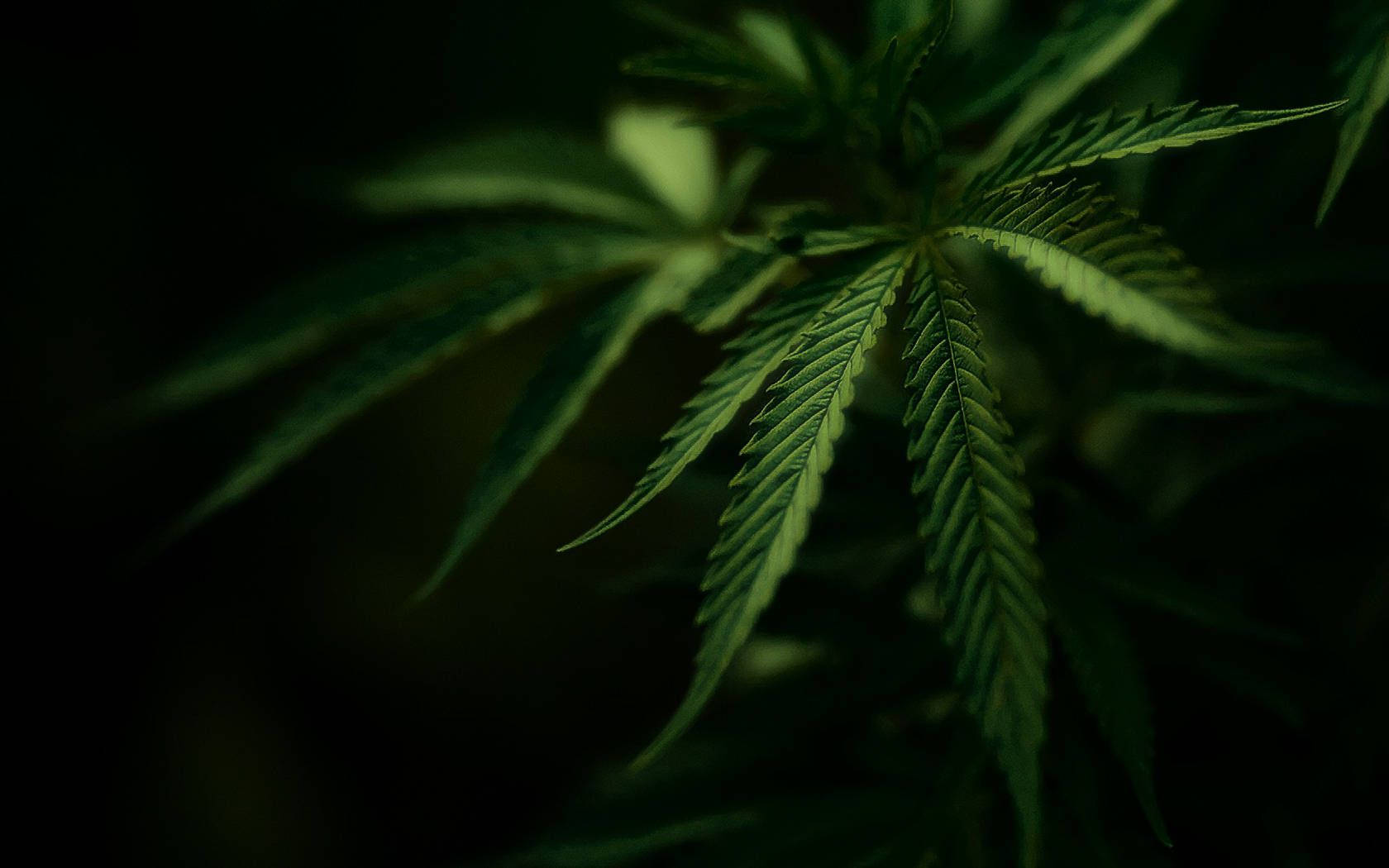 How to Resize Images to 420 Pixels for Social Media