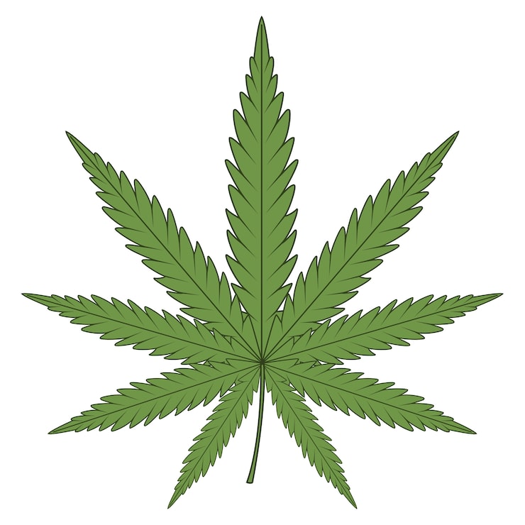 How to Resize Images to 420 Pixels for Cannabis Branding
