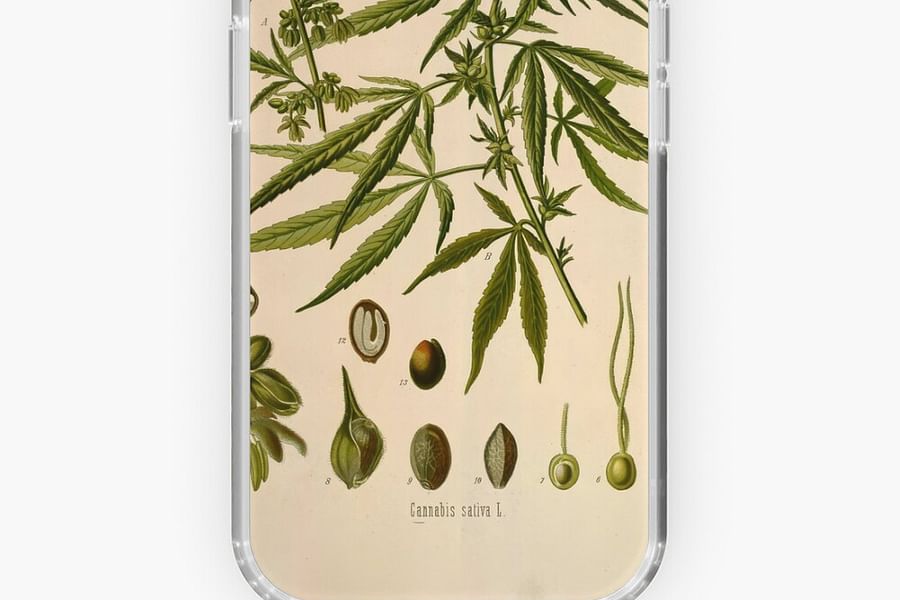 botanical cannabis strain pillow