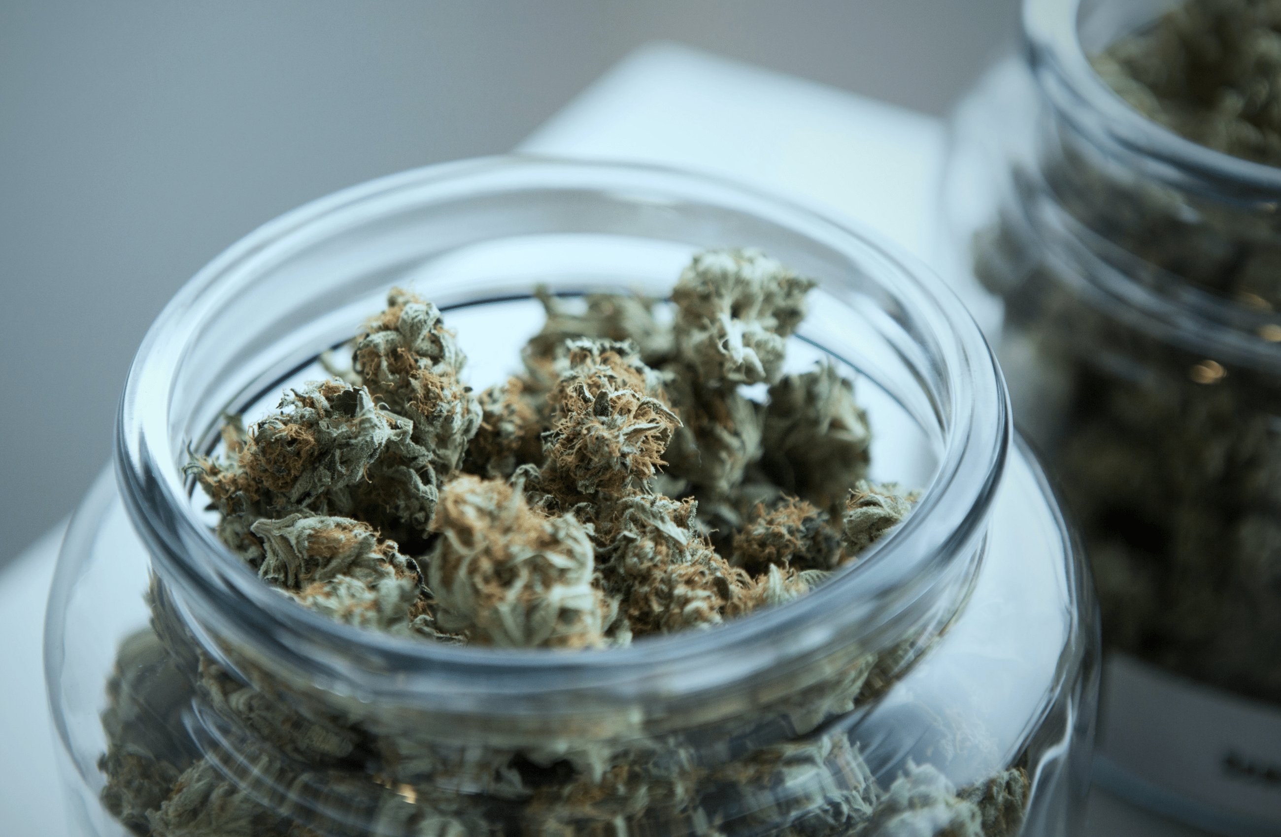 biodegradable cannabis canisters