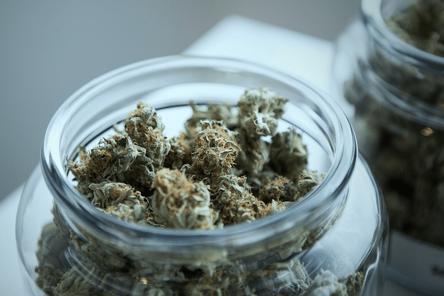 biodegradable cannabis canisters