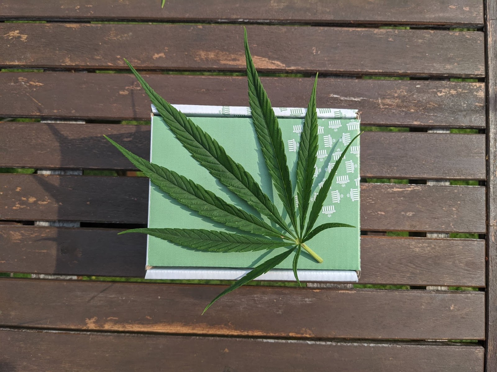 biodegradable cannabis packaging design