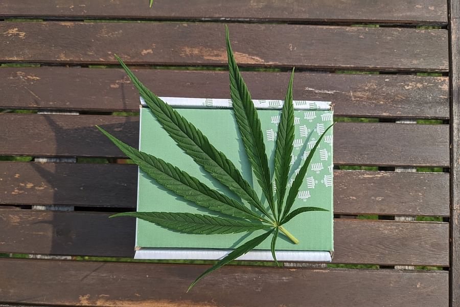 biodegradable cannabis packaging design