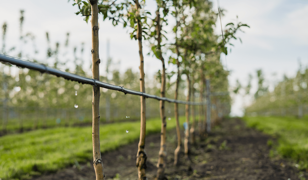 water conservation in food production