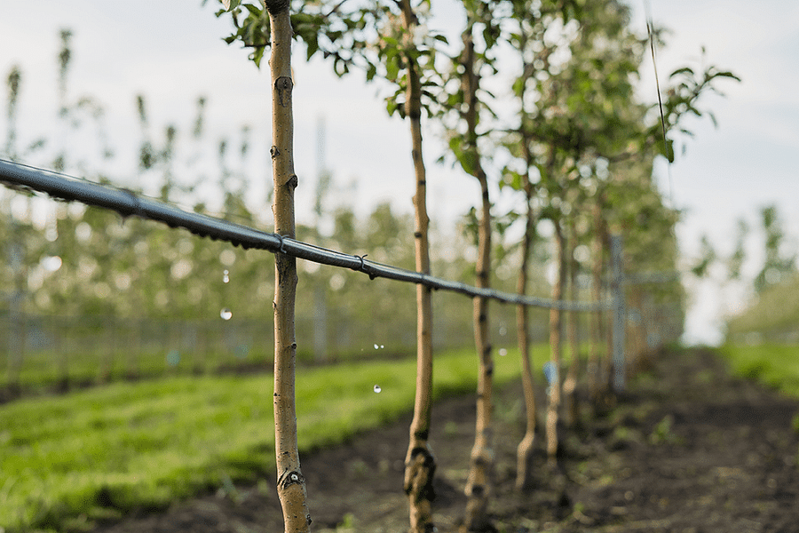 water conservation in food production