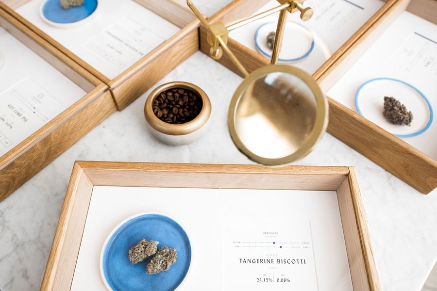 designer cannabis watch