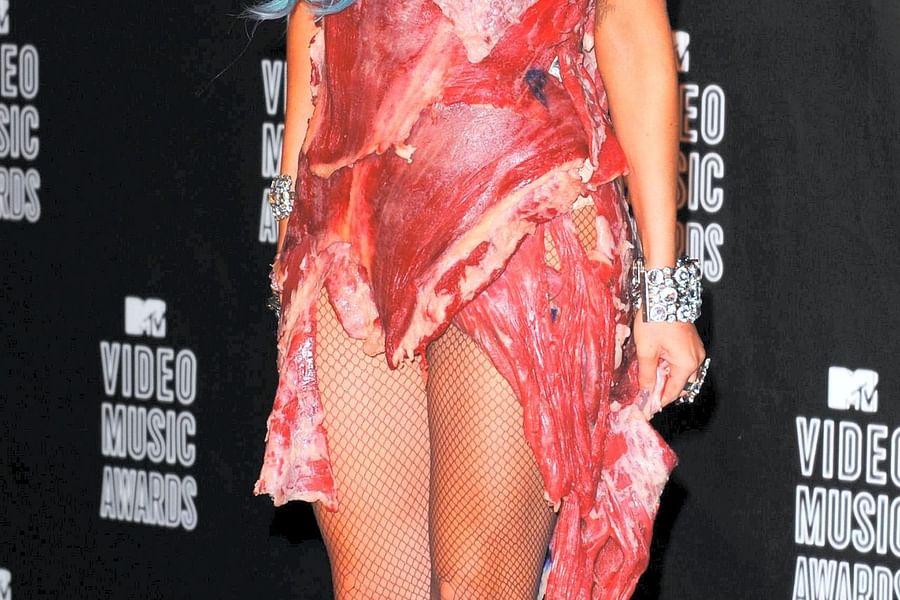 Lady Gaga weed dress