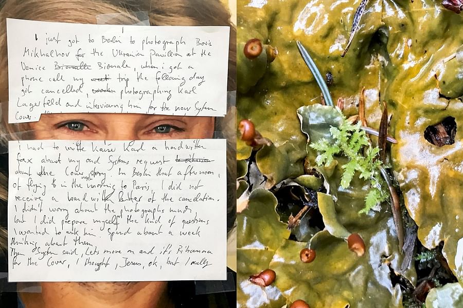 Rihanna weed motif outfit